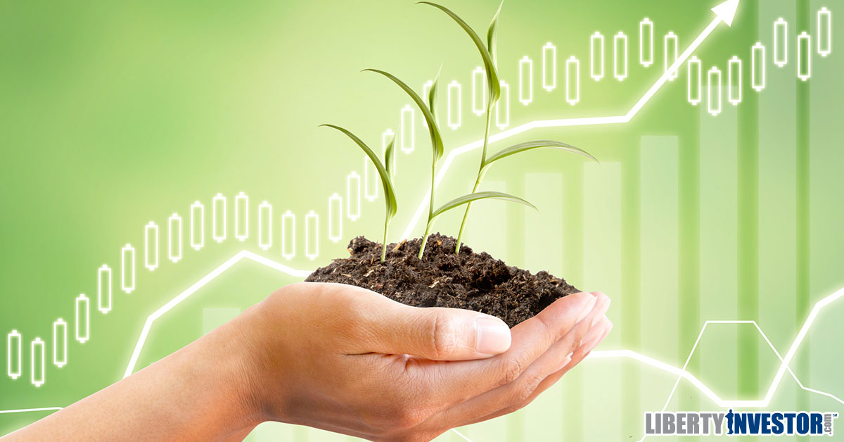 Green Funds Flush With New Cash Challenges As Trump Era Dawns Green Funds Flush With New Cash Challenges As Trump Era Dawns